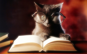 wise-cat-glasses-reading-book-animals-and_439957